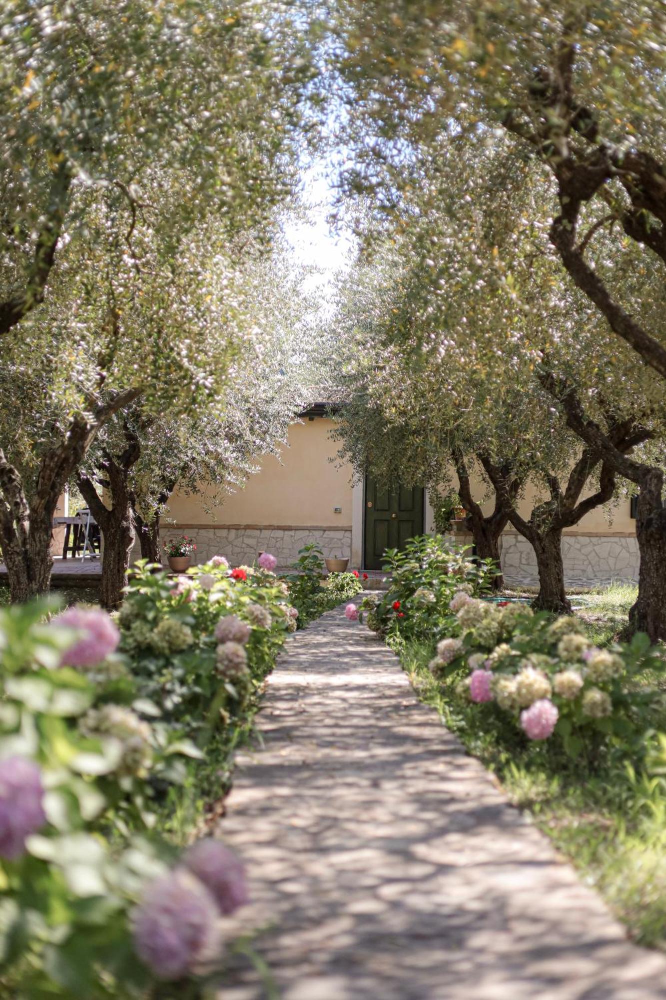Agriturismo Il Pozzo Casal Velino Exteriör bild